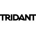Tridant Pty Ltd logo