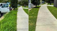 All Lawns and Gardens - Noosa image 7