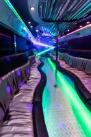 Bustamove Party Buses image 2