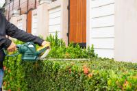 PPS Pruning Services image 7