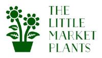 The little market plants image 1