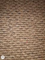Carpet Cleaning Hawthorne image 3