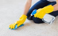 Best Carpet Cleaning Kelvin Grove image 2