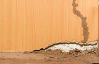 Licensed Termite Treatment Perth image 2