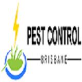 Bed Bug Control Brisbane image 1