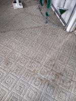 Carpet Cleaning Carnegie image 4