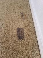 Carpet Cleaning Daylesford image 4