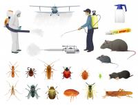 Pest Control Munster image 3