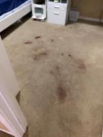 Carpet Cleaning Conder image 2