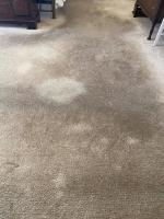 Carpet Cleaning Conder image 4