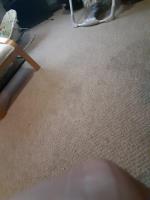 Carpet Cleaning Perth image 7