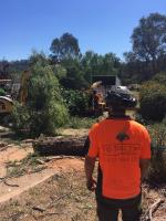 Tip Top Tree Services image 5