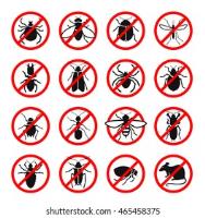 Best Pest Control Sydney image 5
