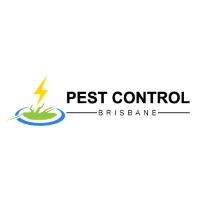 Pest Control Brisbane image 3