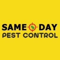 Local  Pest Control Perth image 1