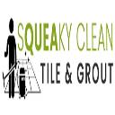 Tile And Grout Cleaning Brisbane logo