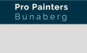Pro Painters Bundaberg logo