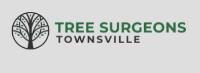 Tree Surgeons Townsville image 1
