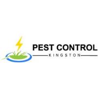 Pest Control Kingston image 1
