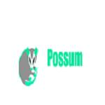 Possum Removal Adelaide image 1