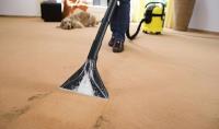 Carpet Steam Cleaning Perth image 11