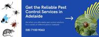 Pest Control Adelaide image 2