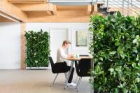 Green Design Indoor Plant Hire Newcastle image 2