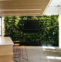 Green Design Indoor Plant Hire Newcastle image 5