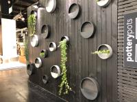 Green Design Indoor Plant Hire Newcastle image 3