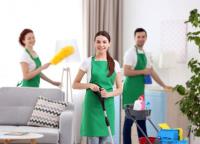 Cheap And Best Carpet Cleaning- From $25 image 4