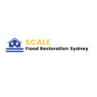 Scale Flood Restoration Sydney image 1