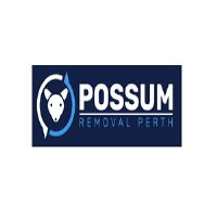 Possum Removal Perth image 3