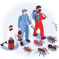 Pest Control Canterbury image 1