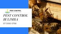 Pest Control Bulimba image 5
