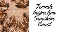 Termite Control Sunshine Coast image 3