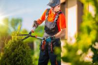 Geelong Tree Removal Specialist image 4