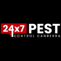 Spider Control Canberra image 1