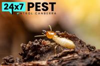 247 Termite Control Canberra image 4