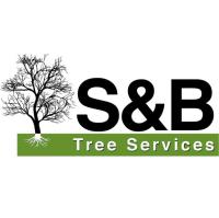 S&B Tree Services image 1