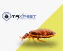 MAX Bed Bug Control Canberra logo