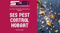 SES Bed Bug Control Hobart image 2