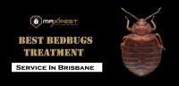 MAX Bed Bug Control Brisbane image 2