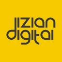 Dizian Digital logo