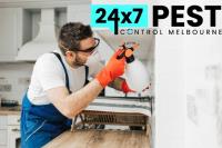 247 Rodent Control Melbourne image 4
