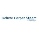 Deluxe Carpet Repair Hobart logo