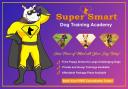 Super Smart Dog Training Academy logo
