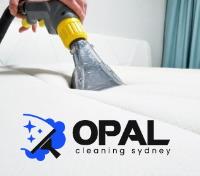 Opal Upholstery Cleaning Sydney image 2