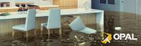 Opal Flood Damage Restoration Perth image 3