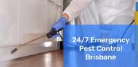 Fast Pest Control Brisbane image 3