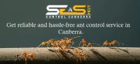 SES Ant Control Canberra image 5